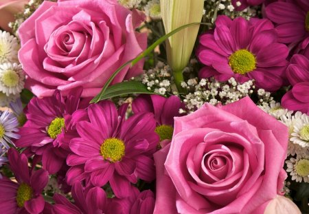 Pink Flowers - yellow, flower, petals, pink, flowers, basket, white, magenta, nature, purple, petal, green