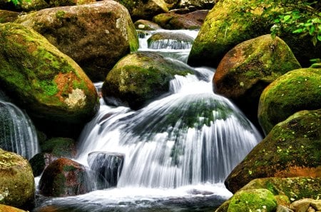 Forest stream - pretty, cascades, summer, creek, bushes, stream, forest, calmness, nice, falling, greenery, stone, beautiful, lovely, harmony, fall, nature, waterfall, rocks