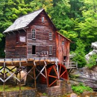 Forest mill in summer