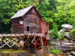 Forest mill in summer