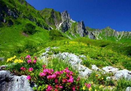 Grassy mountain slope - pretty, hills, summer, blue sky, grass, flowers, grassy, fresh, nice, sky, greenery, beautiful, slope, lovely, freshness, peaks, stones, colorful, nature, green