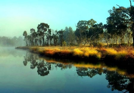 MISTY LAKE - lake, forest, reflection, trees, nature, mist