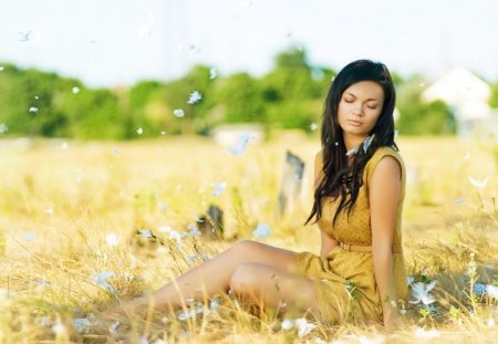 * Feather dreams * - dreams, nature, girl, feather, field, dreamer, treen