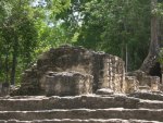 Mayan Ruins & Coba