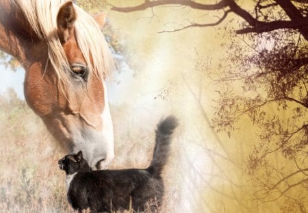 Autumn Love - love, autumn, cat, trees, feline, kitten, abstract, precious, fall, horse, sweet, tree