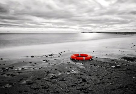 LIFE SAVER - nature, lifebuoy, beach, ocean