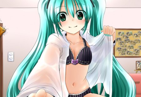 Miku New 2012