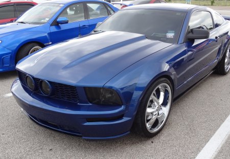 Cool Blue Mustang