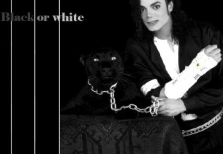 Michael and panther - music, michael jackson, black or white, panther, michael