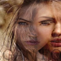Megan Fox Wallpaper