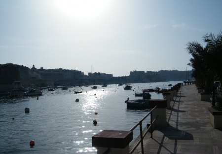 Malta Kalkara - boats, sea, tree, sun