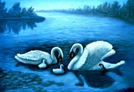 Blue swans - swans, blue