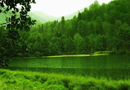 Borcka Karagol Artvin,turkey - artvin, turkey, borcka, karagol