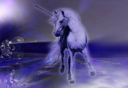 Unicorn Beauty - night, unicorn, sky