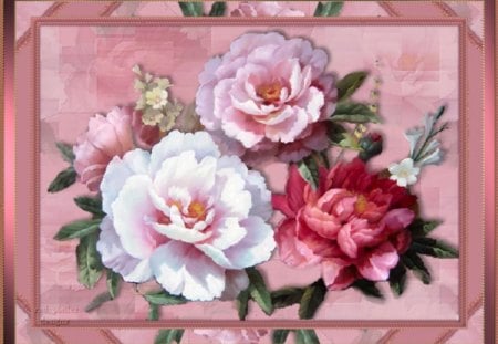 Soft Peonies - peonies, flowers, frame