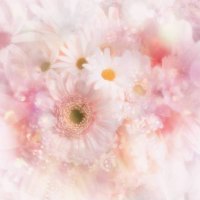 Pastel Flowers