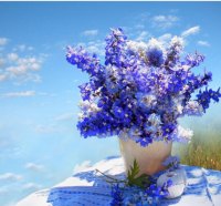 â™¥lavender flowers for Jeanâ™¥