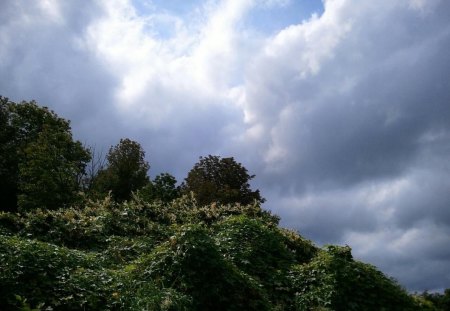 Industry, Maine - clouds, trees, industry, grass, maine, sky