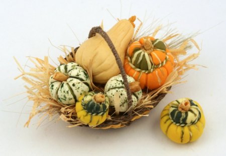 autumn still life - colourful, still life, pumpkins, autumn