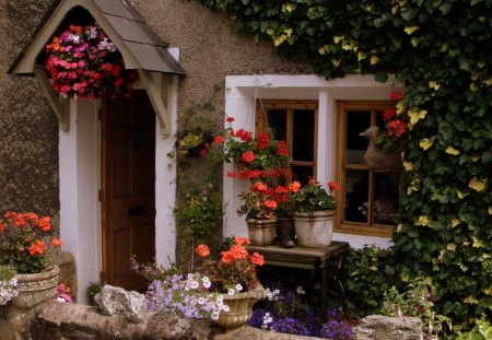 front door - house, flowers, front door, garden