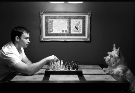 Man vs. Beast - game, play, table, dog, doggy, man, beast, picture, chess