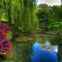 Claude Monet Gardens