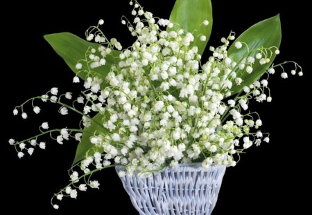 LITTLE BASKET OF SWEETNESS - whites, fragrant, baskets, blooms, lily of the valley, flowers, still life, wicker