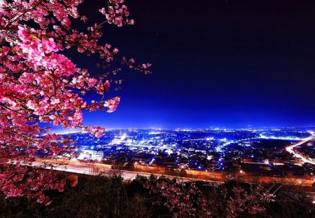 Sakura branches over the city - pretty, blossoms, summer, blue, pink, flowering, view, nice, sky, clouds, sakura, beautiful, road, city, lovely, blooming, tree, nature, lights