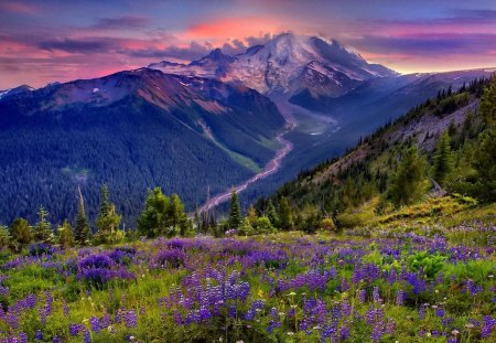 Mountain paradise - summer, beautiful, sundown, amazing, grass, sun rays, fresh, mountainscape, nature, mountain, colorful, paradise, sumset, purple, path, meadow, flowers, slope, wildflowers, blue, peaks, freshness, nice, lovely, colors, sunrise, green