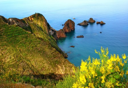 Coastal view - summer, rocks, beautiful, ocean, grass, view, nature, greenery, pretty, water, flowers, yellow, stones, sky, reflection, nice, lovely, coastal, sea, green