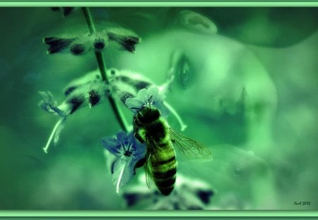 Both leave each other with rest and nothing happens - girl, woman, honeybee, art, green