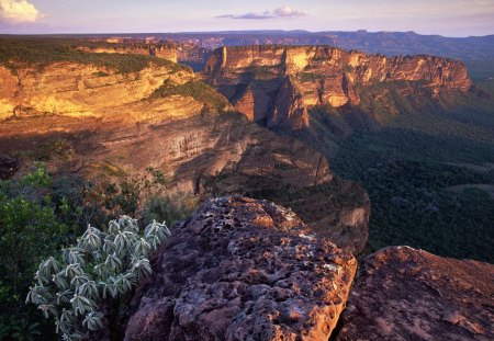 Chapada dos Guimares no Mato Grosso Brasil - mato, brasil, chapada, guimares