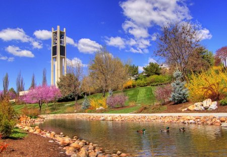 dont forget spring - sky, trees, photography, animals, water, colorful, ducks, beautiful, pink, clouds, pond