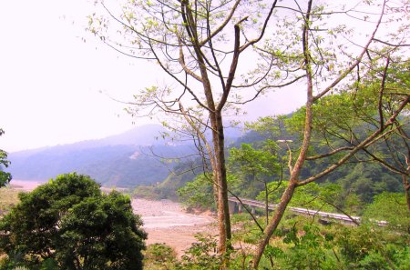 Mountain scenery - valley, mountain, tour, tree, bridge