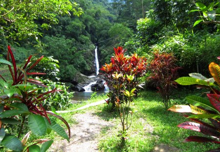 Trail toward to the waterfall - mountain, trail, waterfall, flower