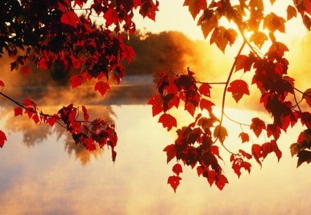 autumn on lake - fall leaves, lake, nature, autumn