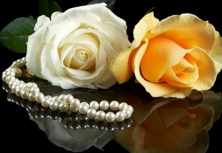 Pearl and roses - blooms, blossoms, delicate, buds, beauty, lovely, petals, flowers, nature, nice, pearl