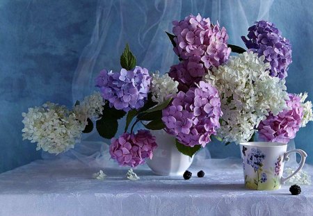 Still Life - beauty, photography, lovely, still life, cup, vase, nature, purple, pretty, romantic, petals, beautiful, romance, colors, flowers, purple flowers