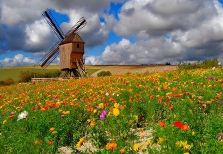 A mill among flowers - pretty, summer, grass, meadow, flowers, path, fresh, field, nice, sky, clouds, delicate, beautiful, mill, lovely, freshness, stones, harmony, colorful, nature, green