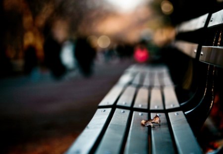 Autumn Park Bench - lonely, trees, people, autumn, bench, leaf, love, park