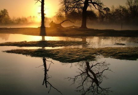 Lovely Reflection of Trees in Lake - lakes, nature, sky, trees, reflection