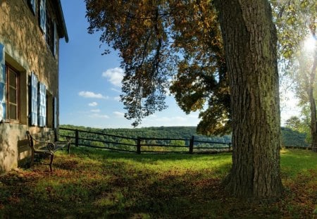 Beautiful Fall Afternoon - house, beautiful, fence, leaves, tree, afternoon, fall, autumn, bench