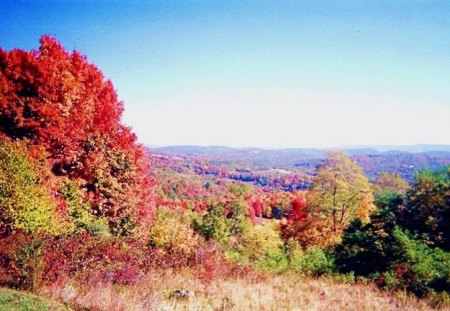 Hills of Autumn - fall, west virginia, autumn, forest, mountain, leaves