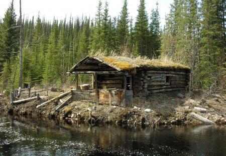 A place to go when the world is too much - lake, entertainment, forest, people