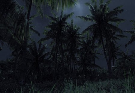 Crysis - moon, shadows, grass, palms