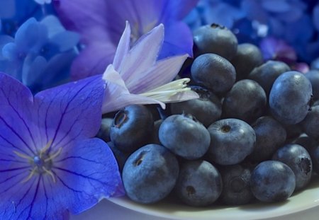 * Flowers and fruit * - fresh, soft, tenderness, tender, fruit, fig, tasty, petals, blue, flowers