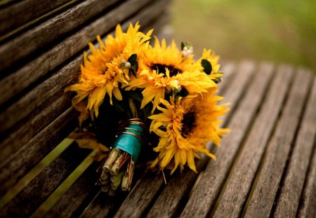 Sunflowers Bouquet - sunflower, photography, bouquet, bench, lovely, yellow, beautiful, flowers, flower