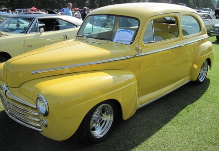 1948 Ford - nickel, black, tires, yellow, green, grass, ford