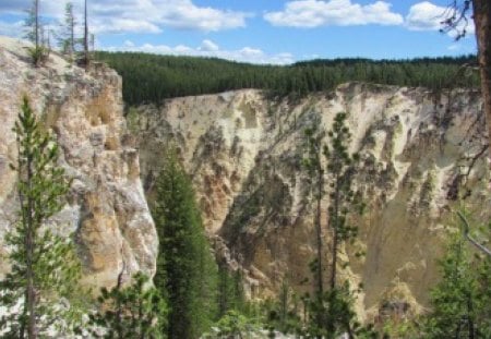 Canyon Wall - stone, nature, brown, forest, canyon, yellowstone