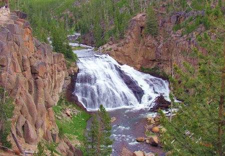 Forest Waterfall - nature, forest, river, yellowstone, waterfall